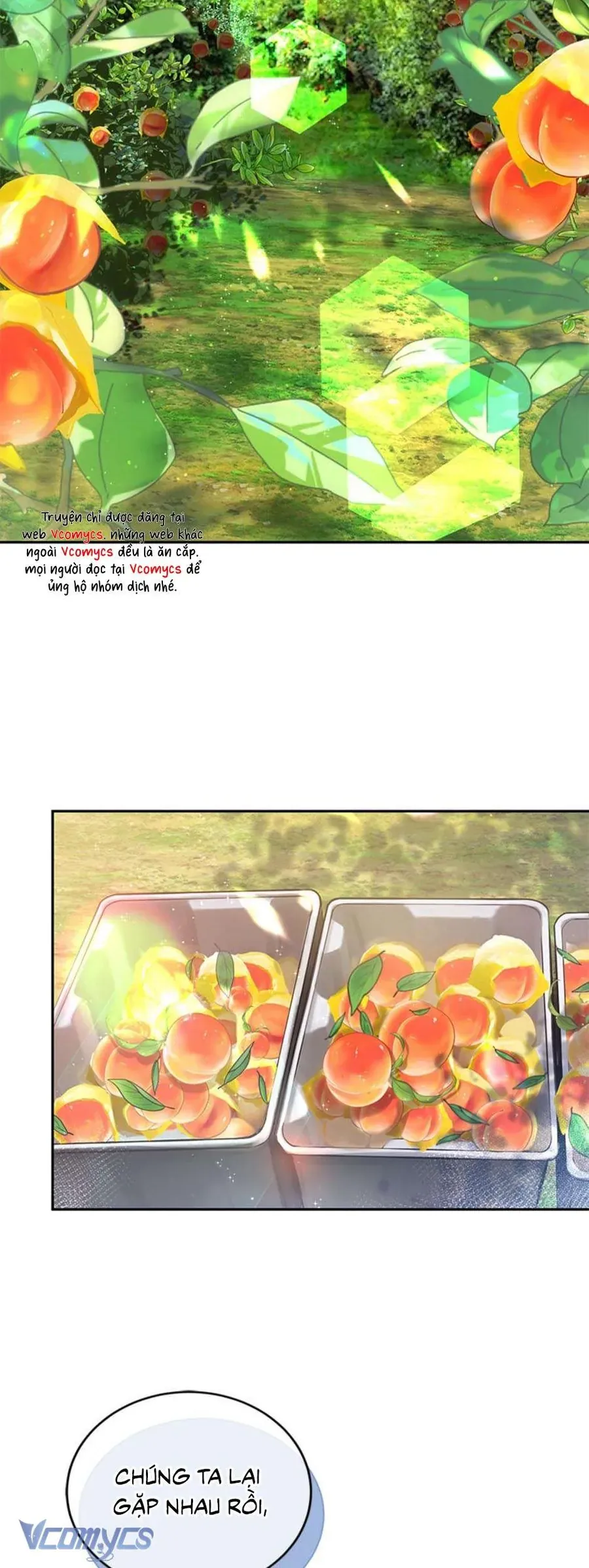 Lời Tỏ Tình Đáng Ngờ Chapter 45 - 51