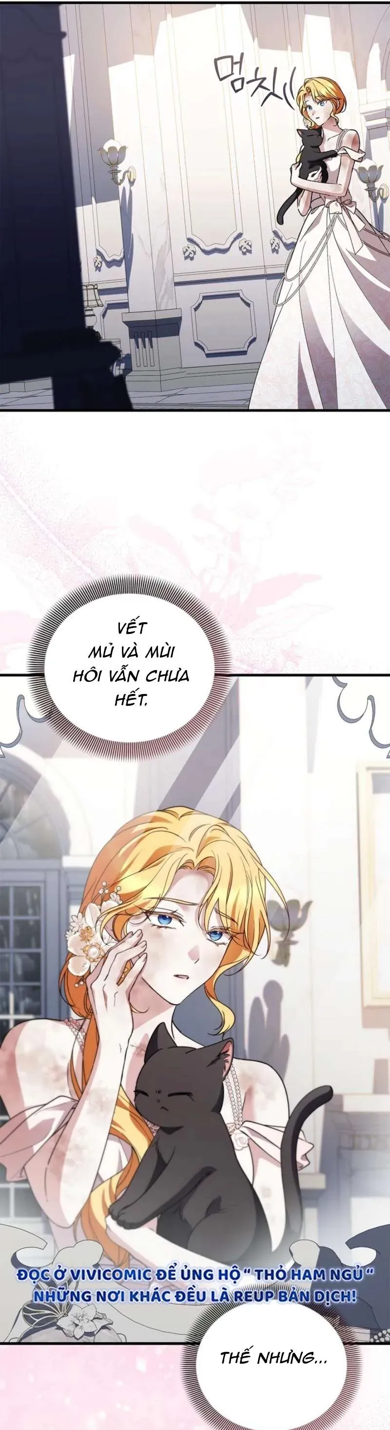 Nữ Bá Tước Bỏ Trốn Đã Quay Trở Lại Chapter 36 - 40