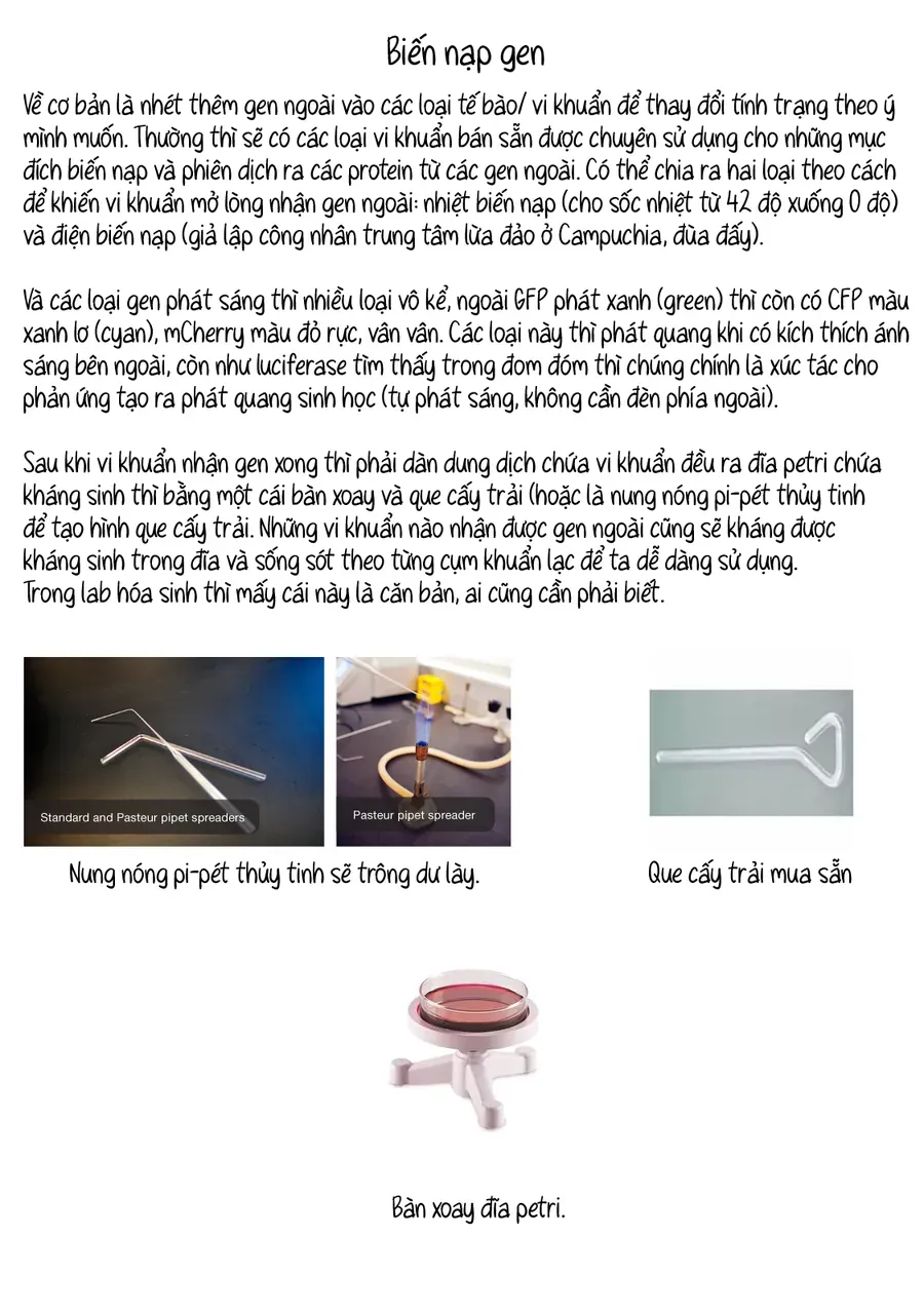 Lalalab☆ ~Gyaru, Khoa Học, và Thanh Xuân!~ Chapter 10 - 9