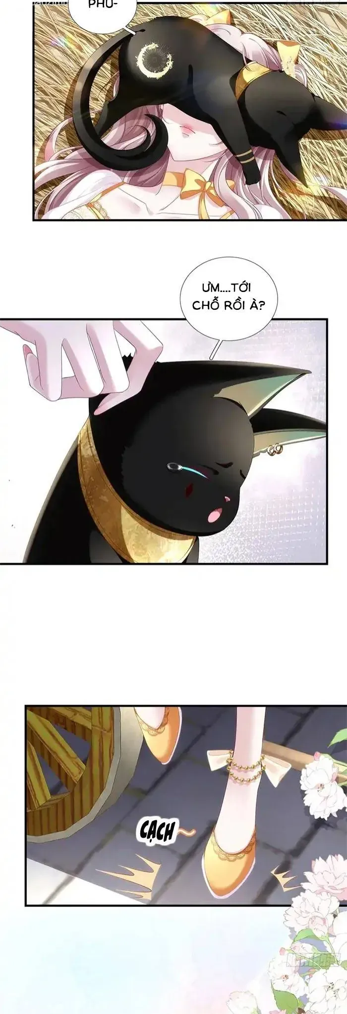 Ma Nữ Trở Lại Và Cuộc Hôn Nhân Định Mệnh Chapter 18 - 3