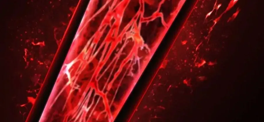 Câu Chuyện Sinh Tồn Của Kiếm Vương Ở Thế Giới Khác Chapter 118 - 164