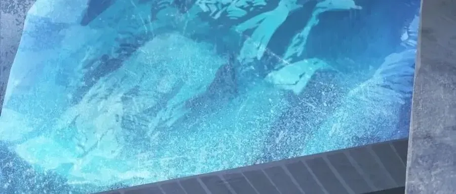 Câu Chuyện Sinh Tồn Của Kiếm Vương Ở Thế Giới Khác Chapter 66 - 240