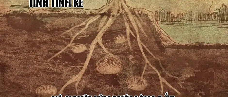 Câu Chuyện Sinh Tồn Của Kiếm Vương Ở Thế Giới Khác Chapter 73 - 30