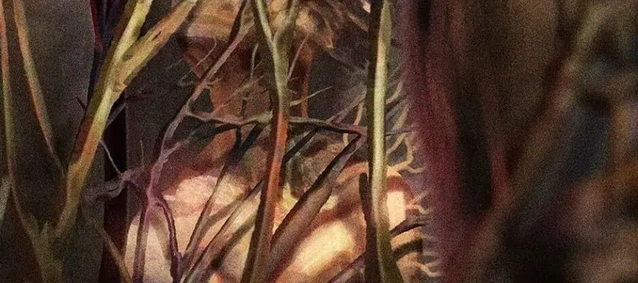 Câu Chuyện Sinh Tồn Của Kiếm Vương Ở Thế Giới Khác Chapter 84 - 2