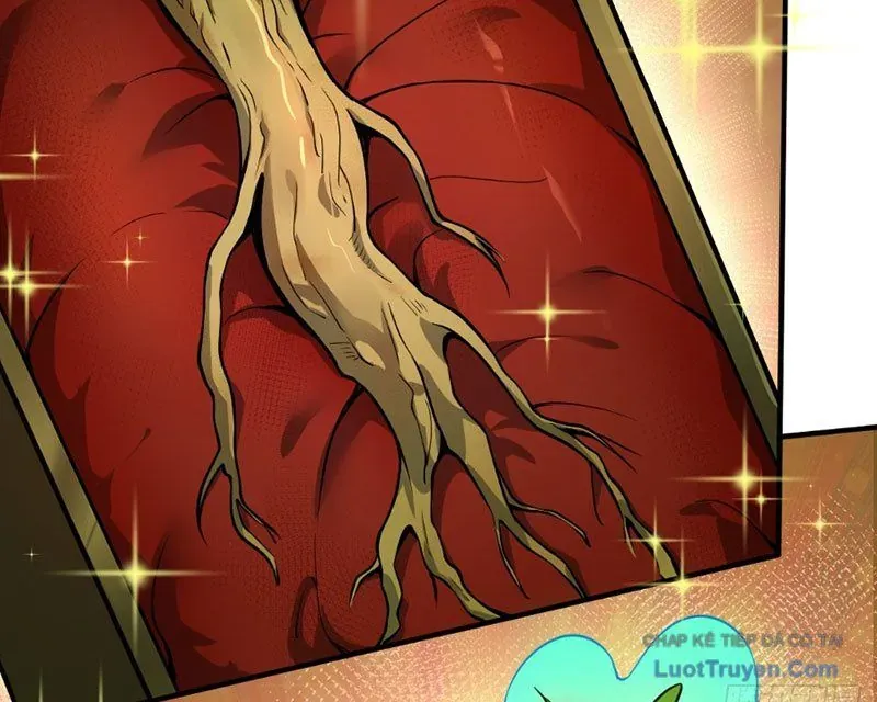 Người Khác Luyện Cấp Ta Tu Tiên, Tới Đại Thừa Kỳ Thì Rời Núi Chapter 20 - 81