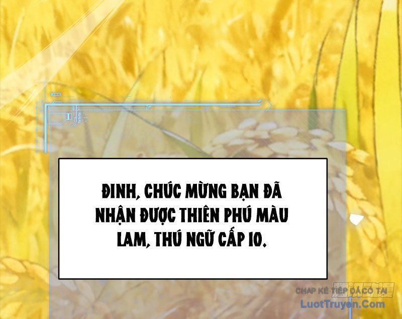 Người Khác Luyện Cấp Ta Tu Tiên, Tới Đại Thừa Kỳ Thì Rời Núi Chapter 23 - 60
