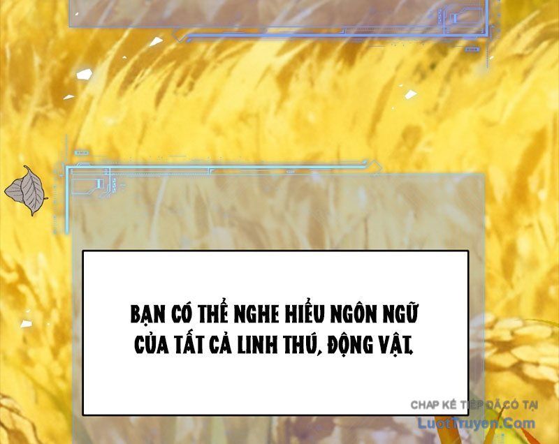 Người Khác Luyện Cấp Ta Tu Tiên, Tới Đại Thừa Kỳ Thì Rời Núi Chapter 23 - 61