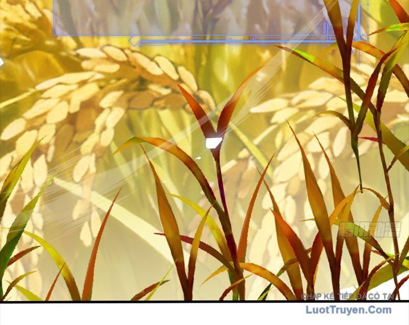 Người Khác Luyện Cấp Ta Tu Tiên, Tới Đại Thừa Kỳ Thì Rời Núi Chapter 23 - 62