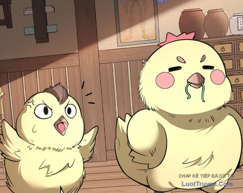 Người Khác Luyện Cấp Ta Tu Tiên, Tới Đại Thừa Kỳ Thì Rời Núi Chapter 23 - 72