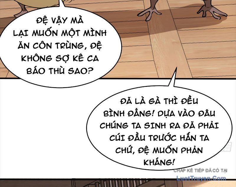 Người Khác Luyện Cấp Ta Tu Tiên, Tới Đại Thừa Kỳ Thì Rời Núi Chapter 23 - 73