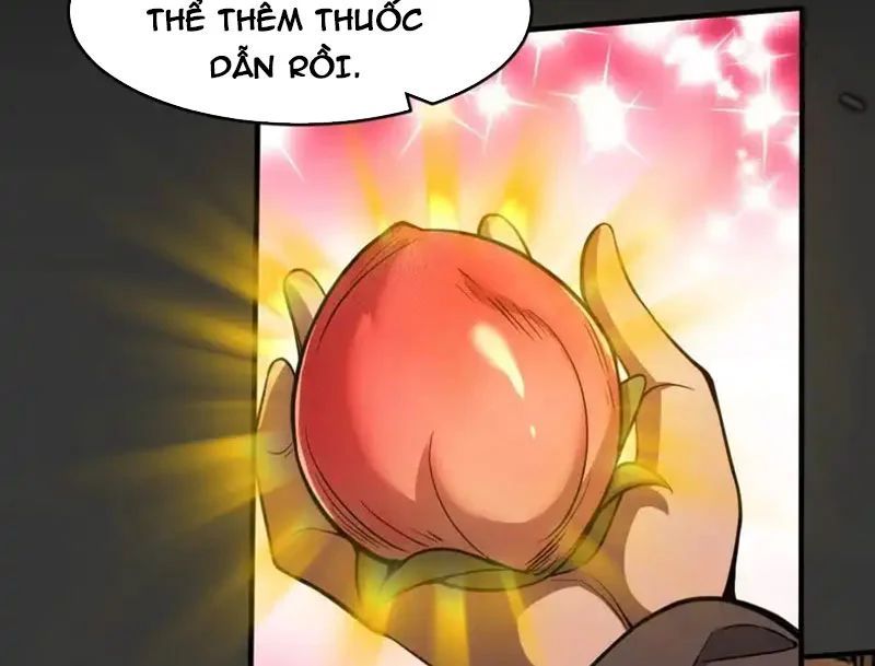 Người Khác Luyện Cấp Ta Tu Tiên, Tới Đại Thừa Kỳ Thì Rời Núi Chapter 24 - 70