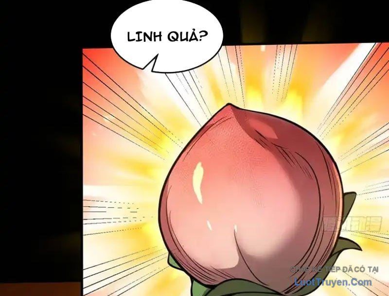 Người Khác Luyện Cấp Ta Tu Tiên, Tới Đại Thừa Kỳ Thì Rời Núi Chapter 24 - 78