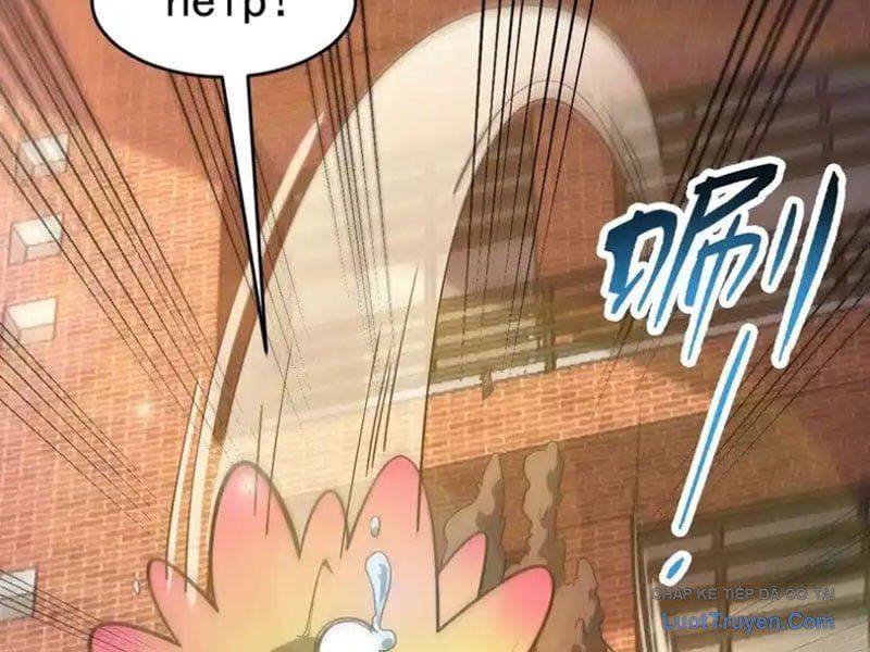 Người Khác Luyện Cấp Ta Tu Tiên, Tới Đại Thừa Kỳ Thì Rời Núi Chapter 29 - 24