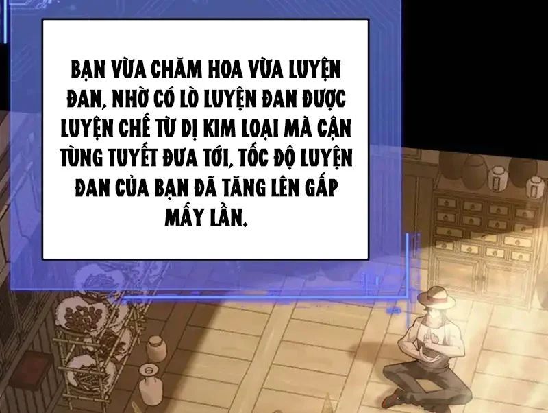 Người Khác Luyện Cấp Ta Tu Tiên, Tới Đại Thừa Kỳ Thì Rời Núi Chapter 29 - 100