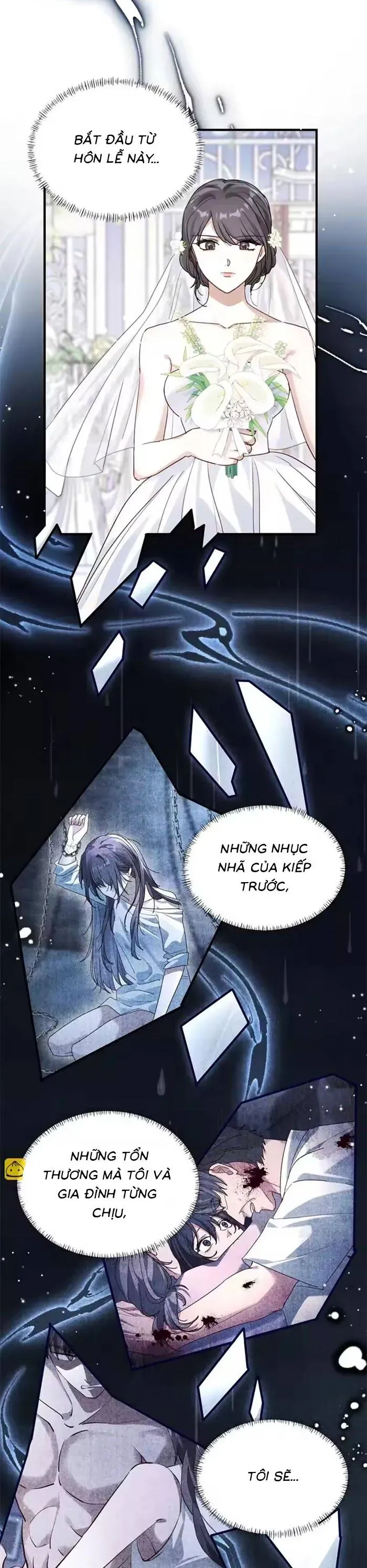 Gả Cho Kẻ Thù Của Người Cũ Sau Trùng Sinh Chapter 25 - 17