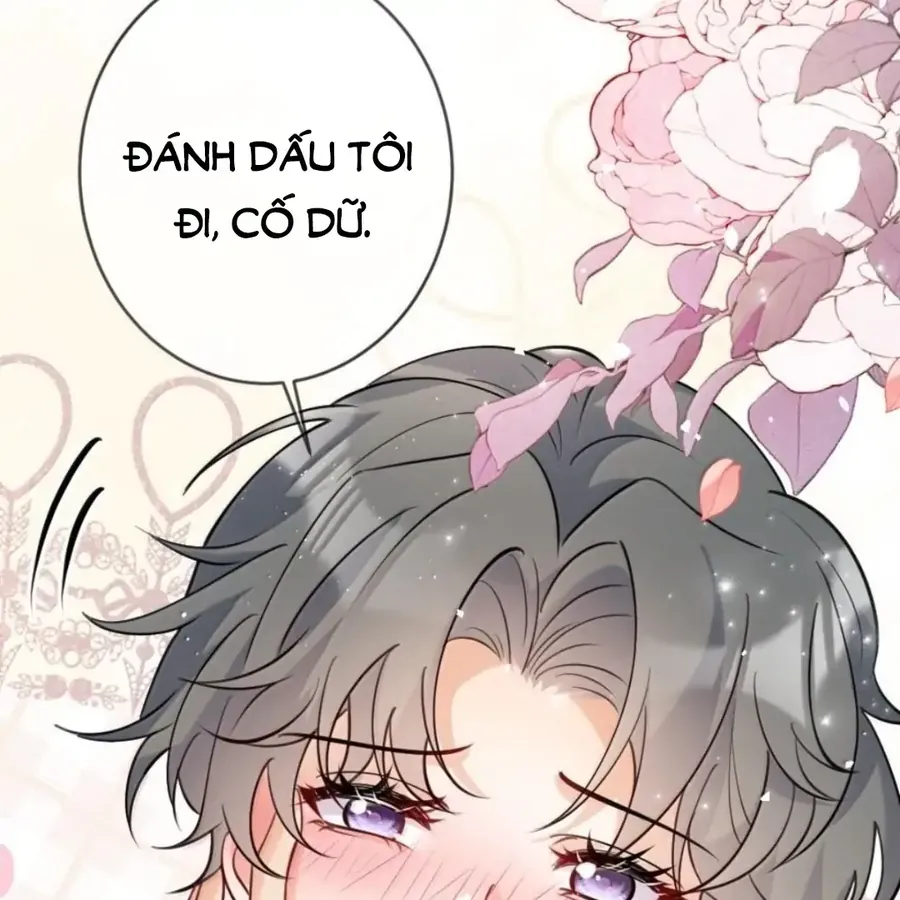 Nữ Chính Hắc Nguyệt Quang Luôn Muốn Đánh Dấu Tôi Chapter 41 - 45