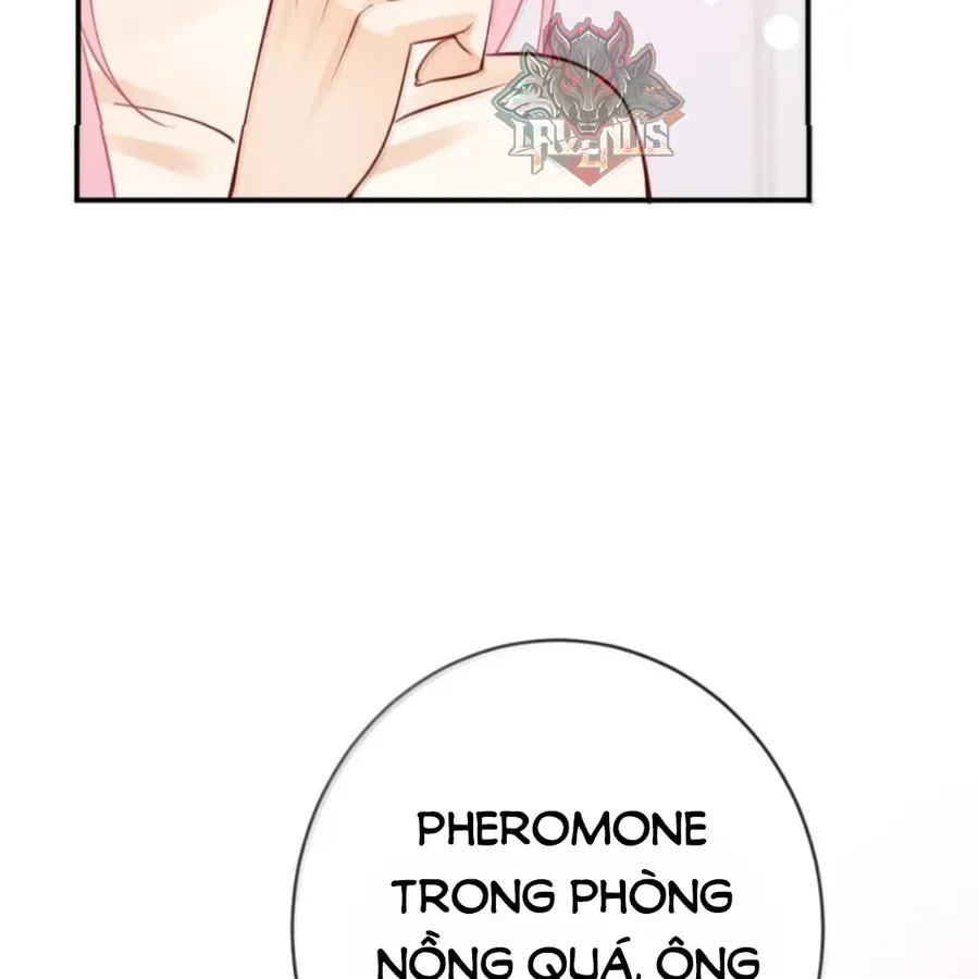 Nữ Chính Hắc Nguyệt Quang Luôn Muốn Đánh Dấu Tôi Chapter 42 - 22