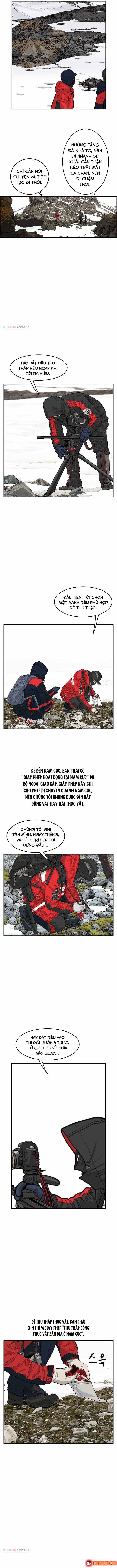 Cá Con (Vảy Cá) Chapter 30 - 5