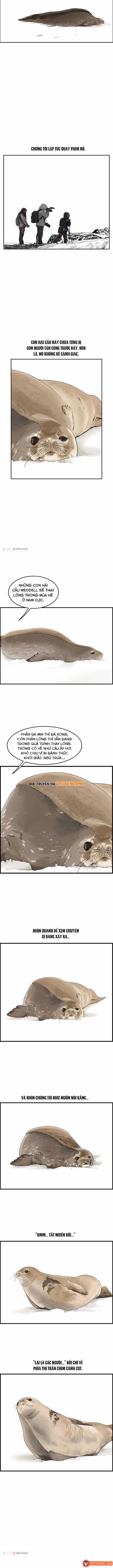 Cá Con (Vảy Cá) Chapter 30 - 7