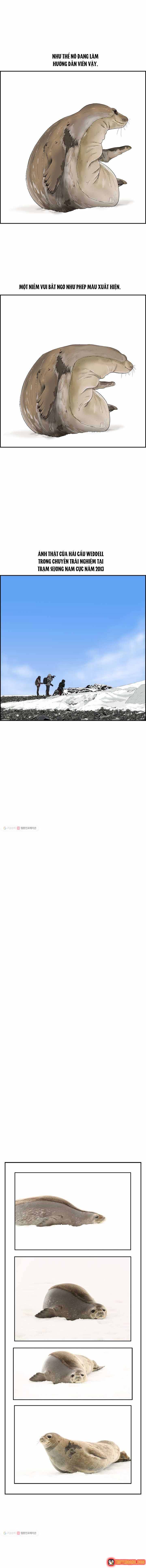 Cá Con (Vảy Cá) Chapter 30 - 8