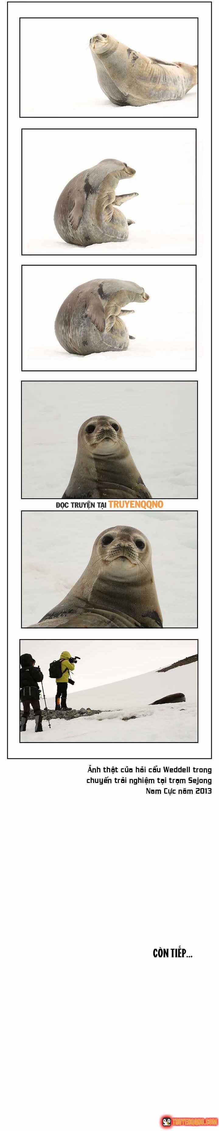 Cá Con (Vảy Cá) Chapter 30 - 9