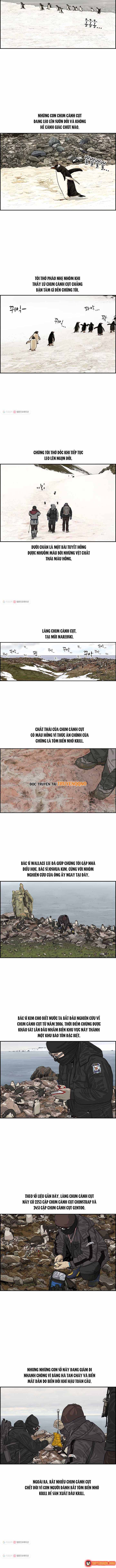 Cá Con (Vảy Cá) Chapter 31 - 4