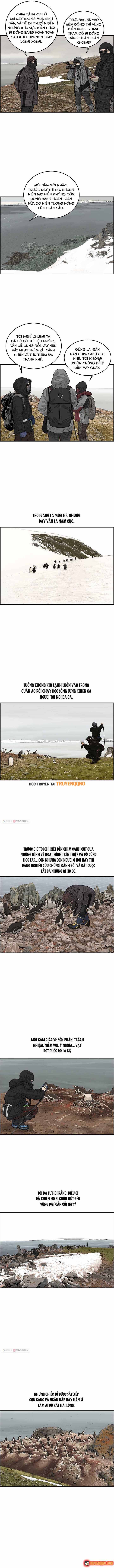 Cá Con (Vảy Cá) Chapter 31 - 5