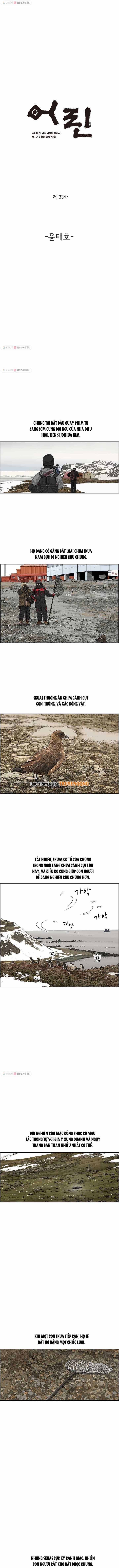 Cá Con (Vảy Cá) Chapter 33 - 2