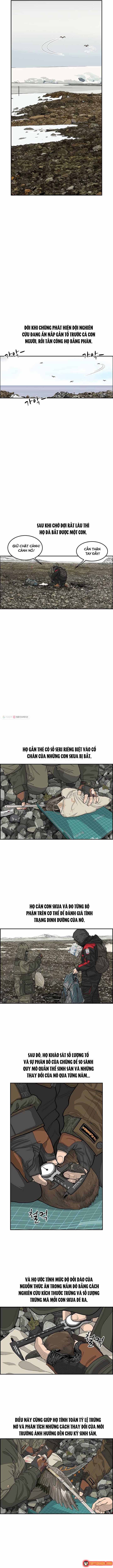 Cá Con (Vảy Cá) Chapter 33 - 3