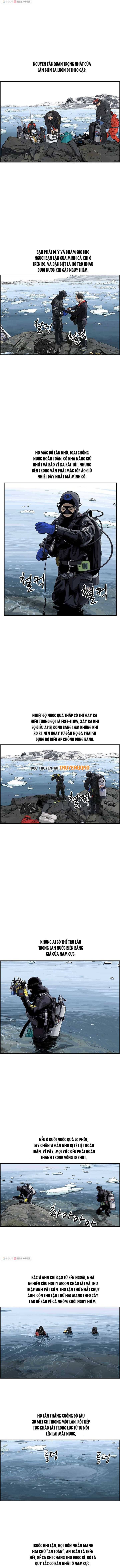 Cá Con (Vảy Cá) Chapter 35 - 7