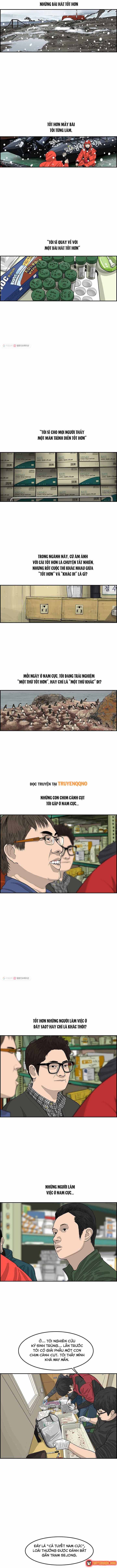 Cá Con (Vảy Cá) Chapter 41 - 4