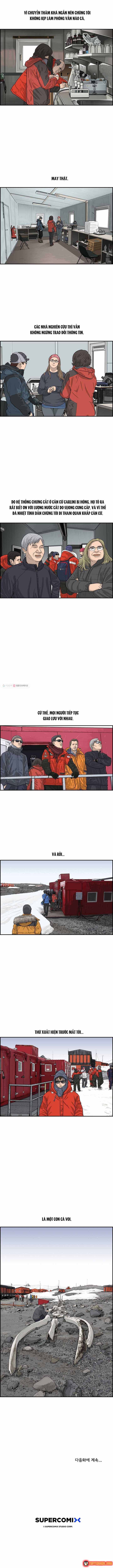 Cá Con (Vảy Cá) Chapter 47 - 8