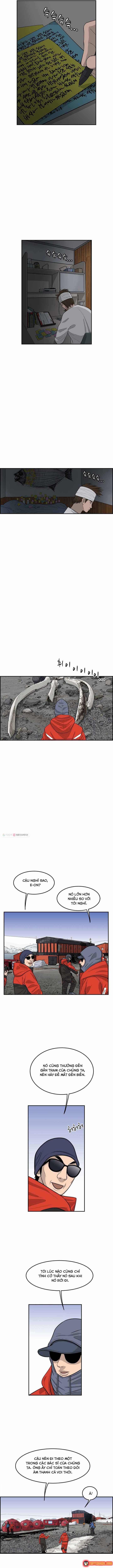 Cá Con (Vảy Cá) Chapter 48 - 3