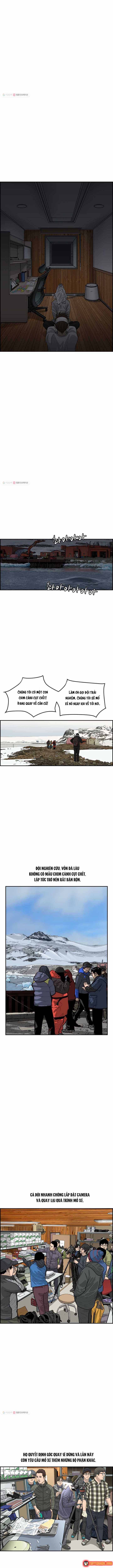 Cá Con (Vảy Cá) Chapter 49 - 8