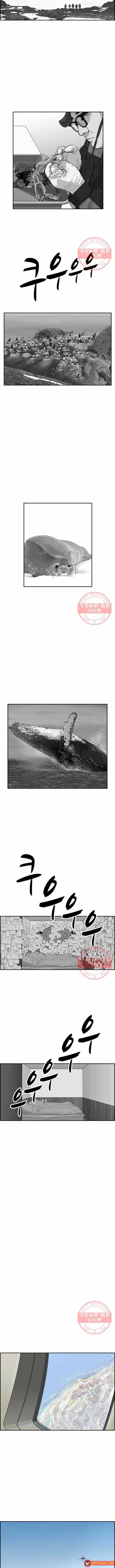 Cá Con (Vảy Cá) Chapter 95 - 6