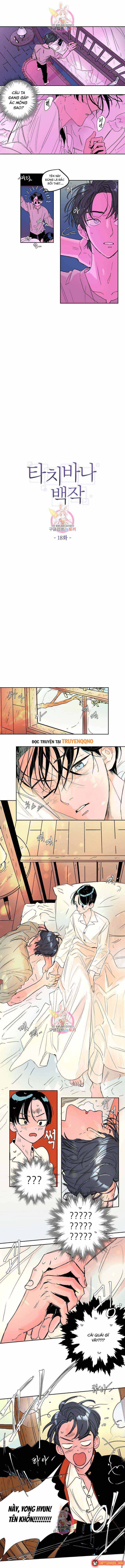 Bá Tước Tachibana Chapter 18 - 2