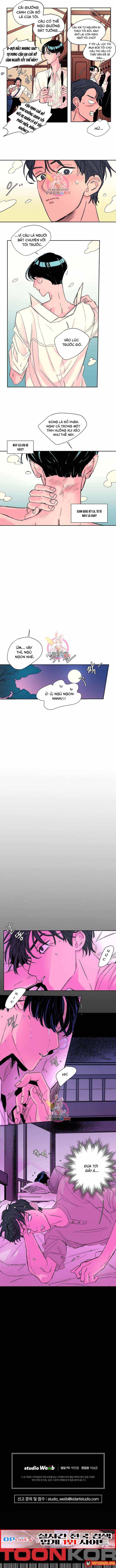 Bá Tước Tachibana Chapter 17 - 8