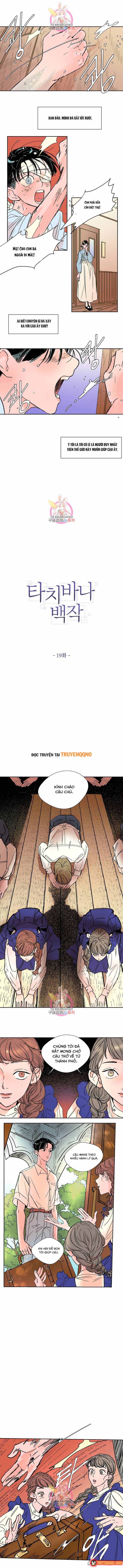 Bá Tước Tachibana Chapter 19 - 2