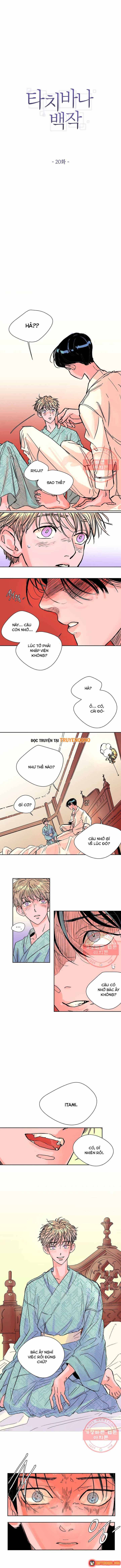 Bá Tước Tachibana Chapter 20 - 2