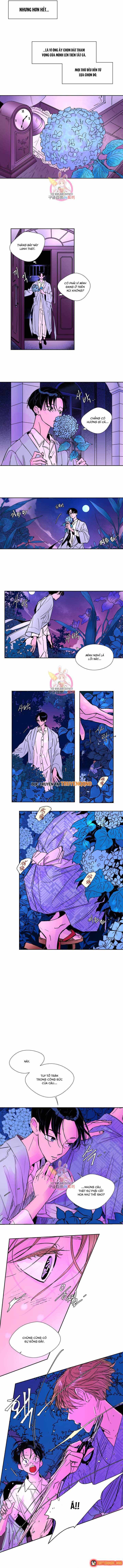 Bá Tước Tachibana Chapter 19 - 4