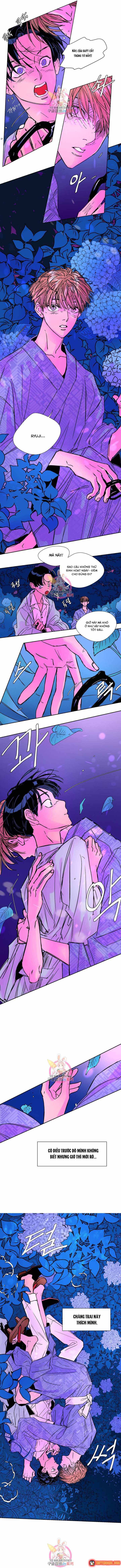 Bá Tước Tachibana Chapter 19 - 5