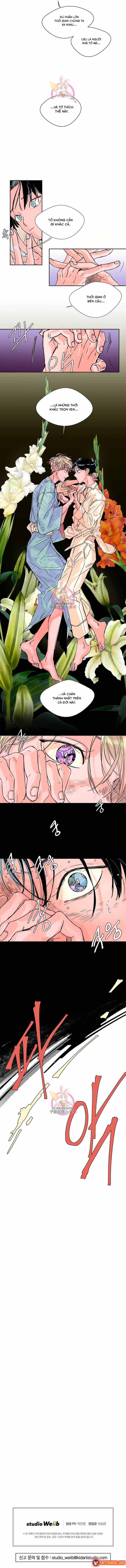 Bá Tước Tachibana Chapter 19 - 8