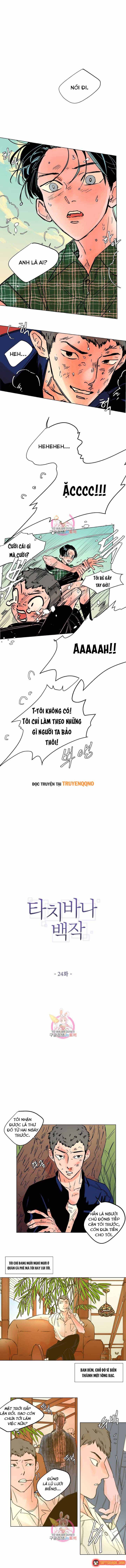 Bá Tước Tachibana Chapter 24 - 2