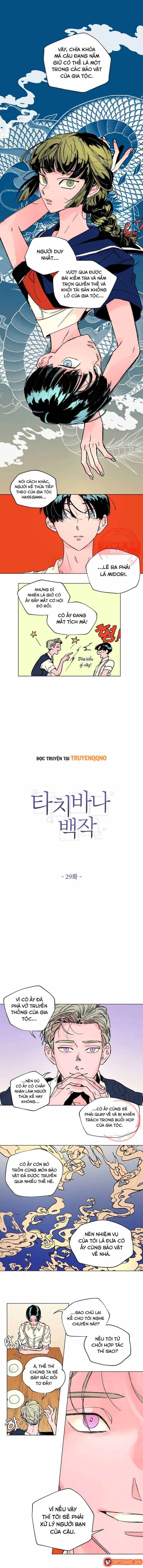 Bá Tước Tachibana Chapter 29 - 2