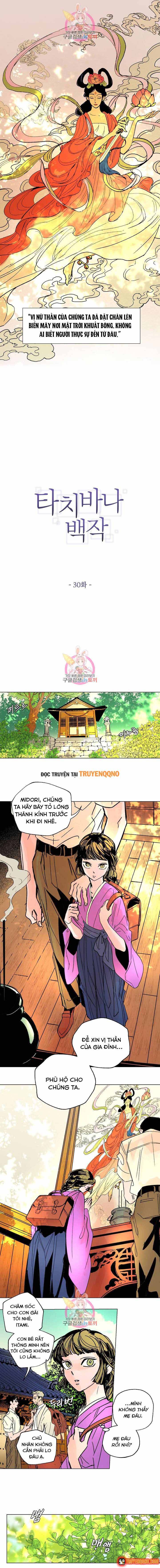Bá Tước Tachibana Chapter 30 - 2