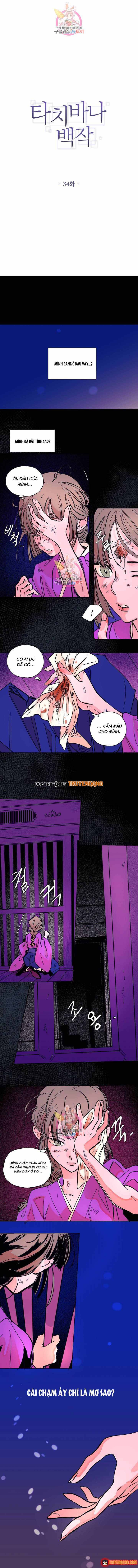 Bá Tước Tachibana Chapter 34 - 2