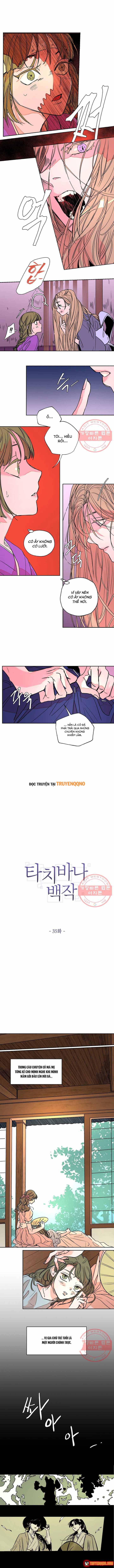 Bá Tước Tachibana Chapter 35 - 2