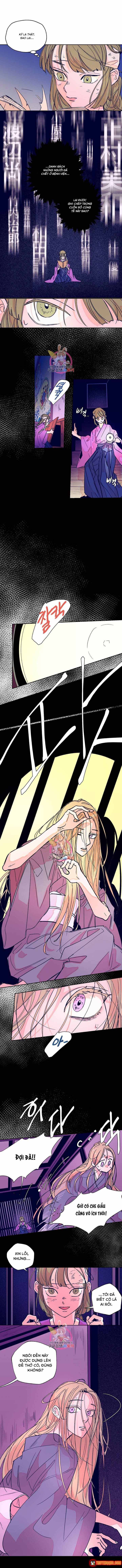 Bá Tước Tachibana Chapter 34 - 8