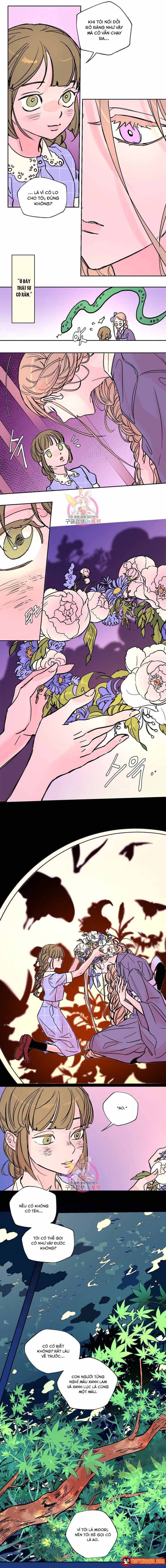 Bá Tước Tachibana Chapter 36 - 3