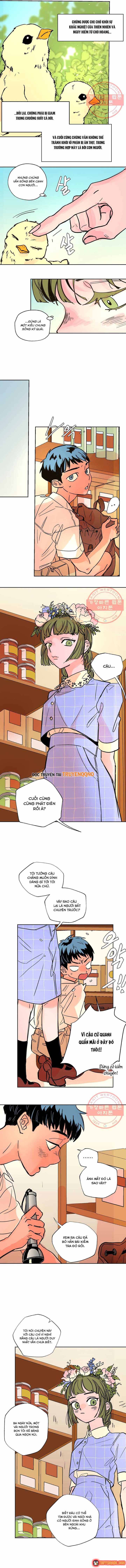 Bá Tước Tachibana Chapter 35 - 7